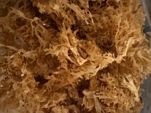 Load image into Gallery viewer, Raw Chondrus Crispus (Gold)