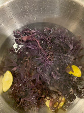Load image into Gallery viewer, Raw Chondrus Crispus (Purple) Sea Moss