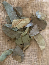 Load image into Gallery viewer, Soursop Organic Leaves