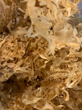 Load image into Gallery viewer, Chondrus Crispus (Gold) Sea Moss Gel 16 oz
